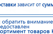 Пояс электрод купить в Саранске, Электроды Меркурий купить в Саранске, Скэнар официальный сайт - denasvertebra.ru